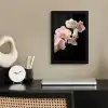 Orchidee - Bloemen - Roze - Stilleven - Flora fotolijst zwart zonder passe partout klein -sfeer1