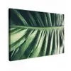 Bladeren - Tropisch - Jungle Tuinposter op houten frame 2 cm dik klein -3d