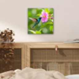 Kolibrie - Bloem - Natuur - Groen aluminium wit klein -sfeer3