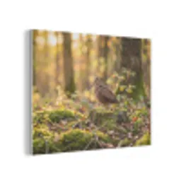 Houtsnip - Bos - Bladeren - Herfst - Gecamoufleerd PET vilt klein -3d