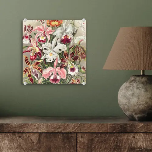 Bloemen - Ernst Haeckel - Vintage - Orchidee plexiglas 5mm klein -sfeer3