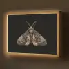 Mot - Bladachtig - Grijs Light Box met batterij (Wandlamp) middel -z3d_website