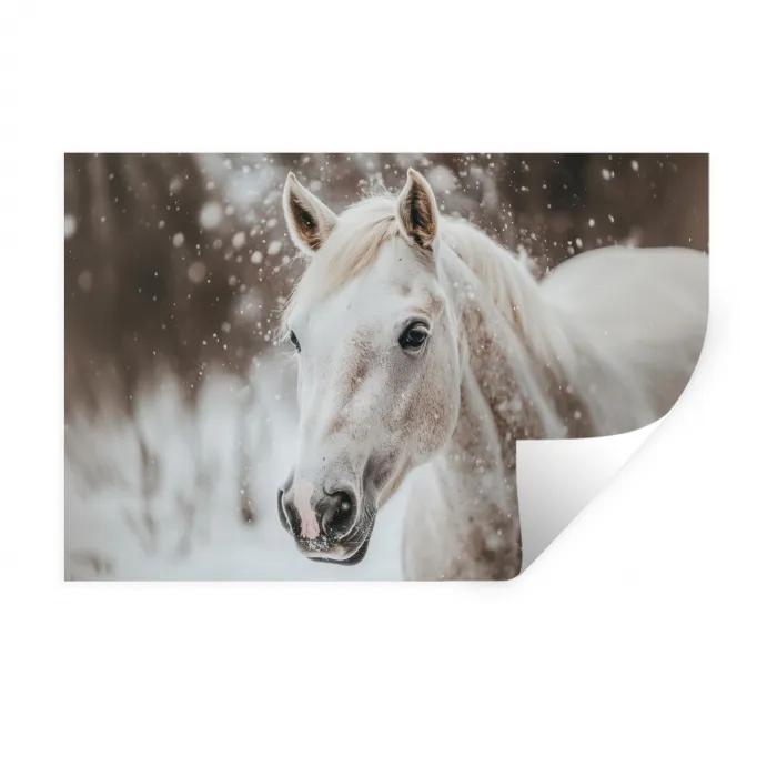 Paard - Wit - Winter - Natuur - Sneeuw - Dieren Muursticker klein -3d