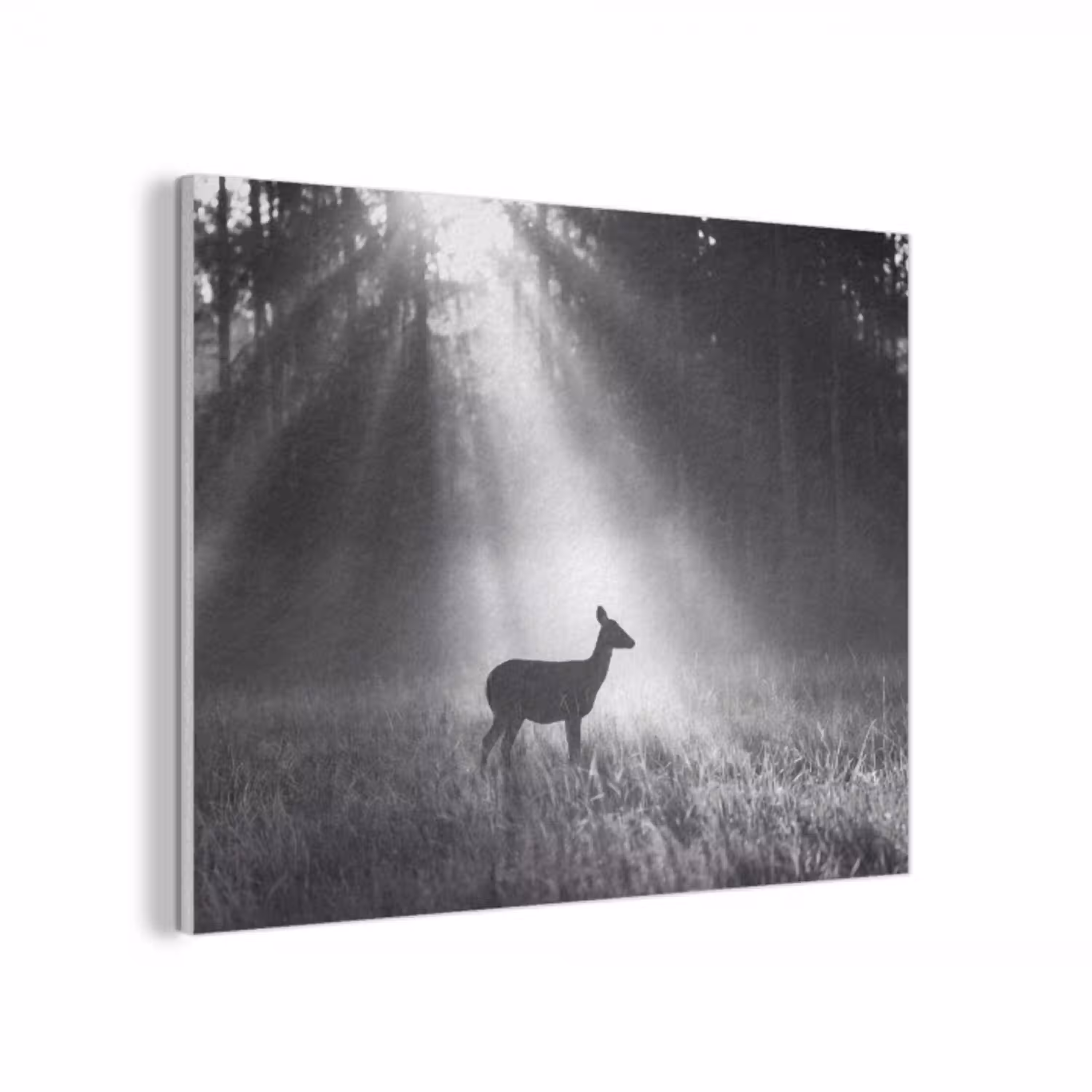 Hert - Bos - Zonnestralen - Zwart-wit - Natuur PET vilt klein -3d