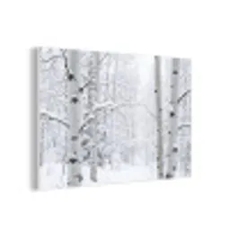 Berkenbomen - Sneeuw - Winter - Bos - Wit forex 5mm xxl -3d