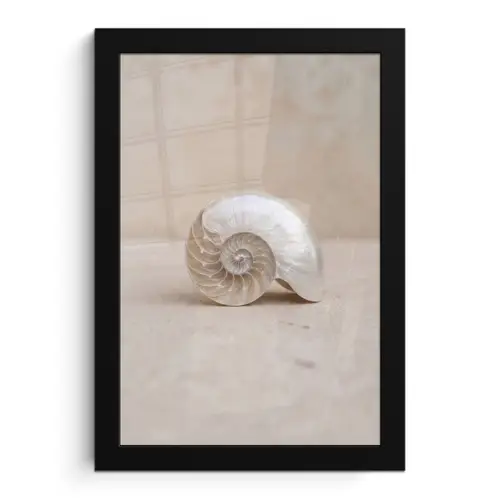 Schelp - Spiraal - Beige fotolijst zwart zonder passe partout klein -3d
