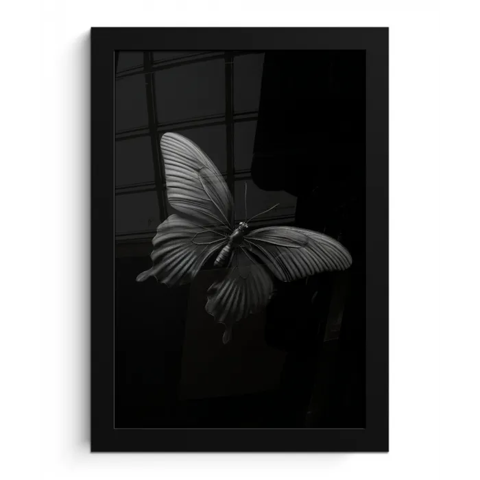 Vlinder - Zwart - Insect - Dieren fotolijst zwart zonder passe partout klein -3d