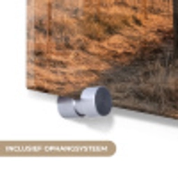 Wijngaard - Zonsondergang - Landschap plexiglas 5mm klein -zzsysteem_NL