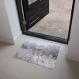 Schermbloem - Rijp - Kristallen - Winter - Delicaat Deurmat klein -sfeer5