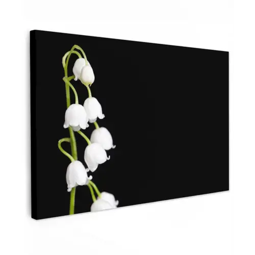 Lelietjes van dalen - Bloemen - Zwart - Flora Tuinposter op houten frame 2 cm dik klein -3d