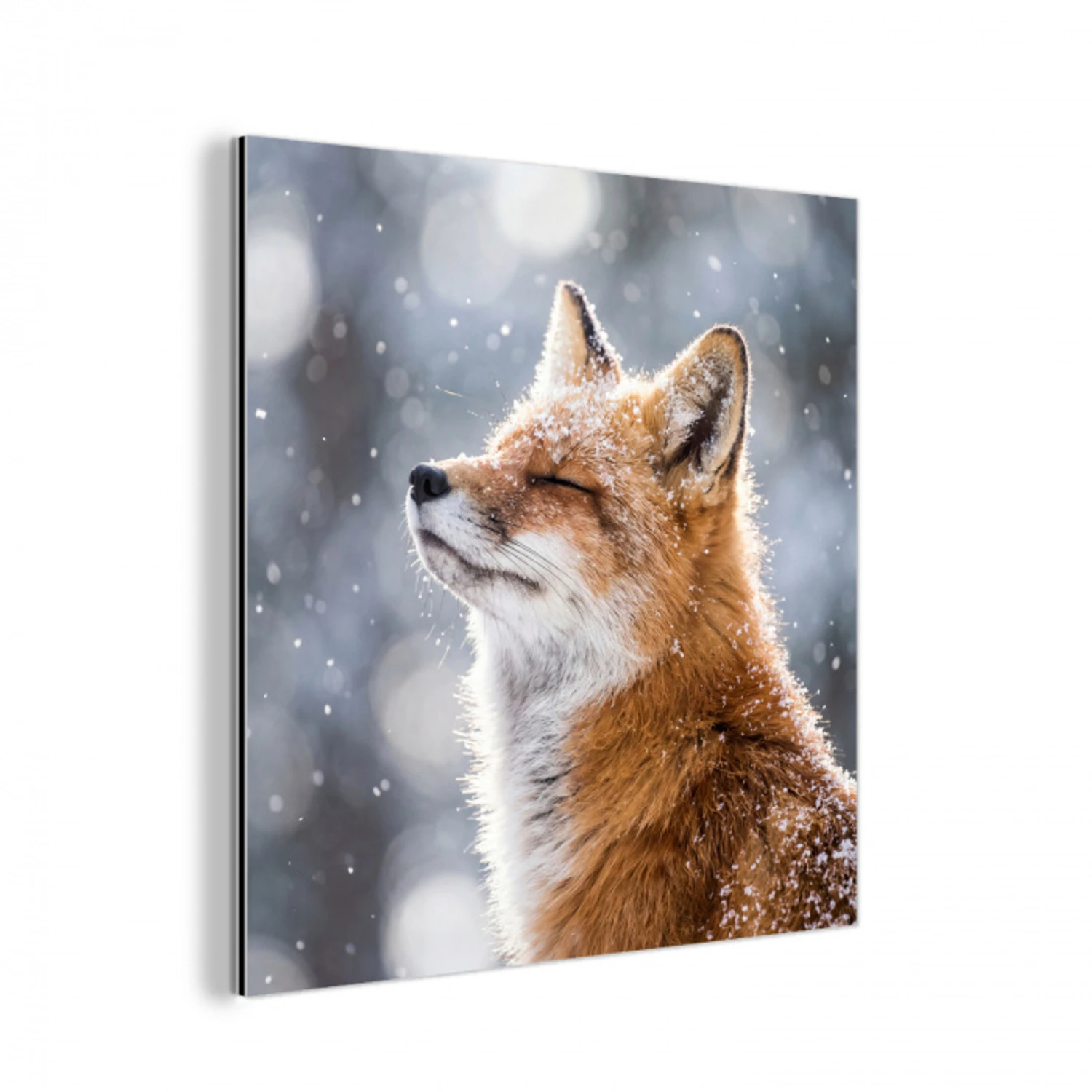 Vos - Sneeuwval - Portret - Winter - Sfeervol aluminium wit klein -3d