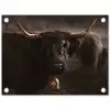 Schotse hooglander - Goud - Koebel - Hoorns - Dieren tuinposter los doek klein -3d