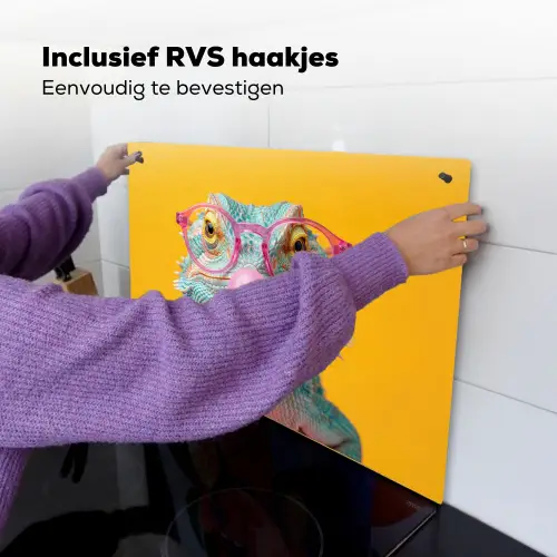 Kameleon - Kauwgom - Kleurrijk Inductie beschemer met haakjes klein -ky-ophangen-nl