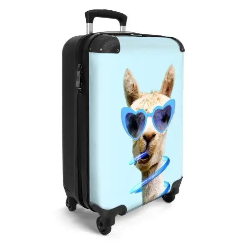 Allard Alpaca Koffer - NBS - Handbagage middel -productfoto_3d