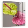 Planten - Anthurium - Groen - Roze plexiglas 5mm klein -zzzproduct_nieuw
