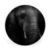 Olifant - Dier - Portret Wandcirkel kunststof plaat 5mm dik klein -3d
