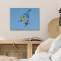Papagaai - Vliegen - Blauw - Geel PET vilt klein -sfeer3