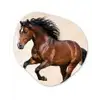 Paard - Galop - Energie Wandcirkel Organisch Forex 3mm klein -3d