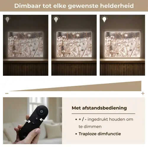 Droogbloemen - Wit - Planten Light Box met batterij (Wandlamp) middel -USP_dimbaarNL