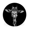 Giraffe - Portret - Dieren - Zwart - Wit Wandcirkel aluminium klein -3d