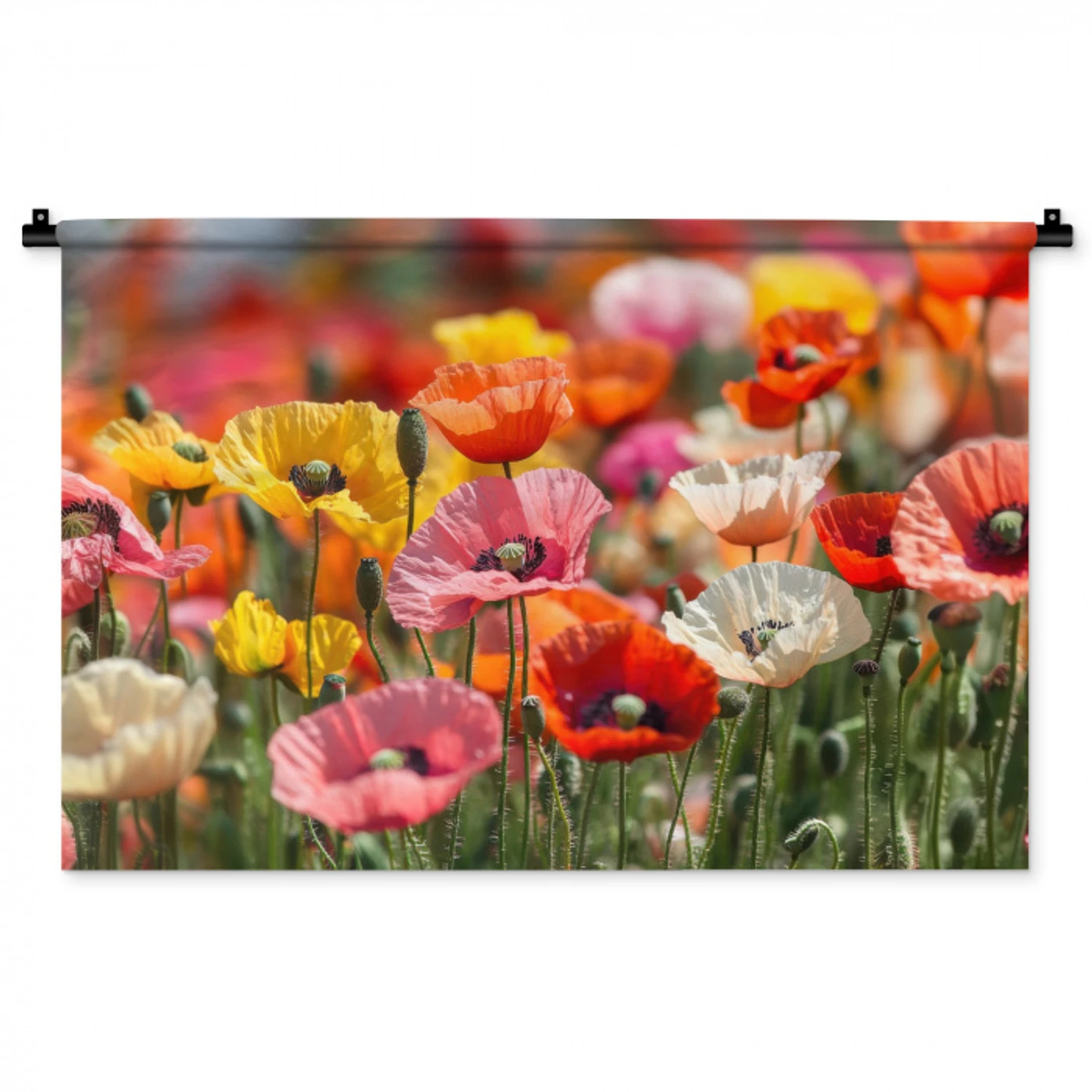 Bloemenveld - Klaprozen - Kleurrijk Wandkleed katoen middel -zz3d