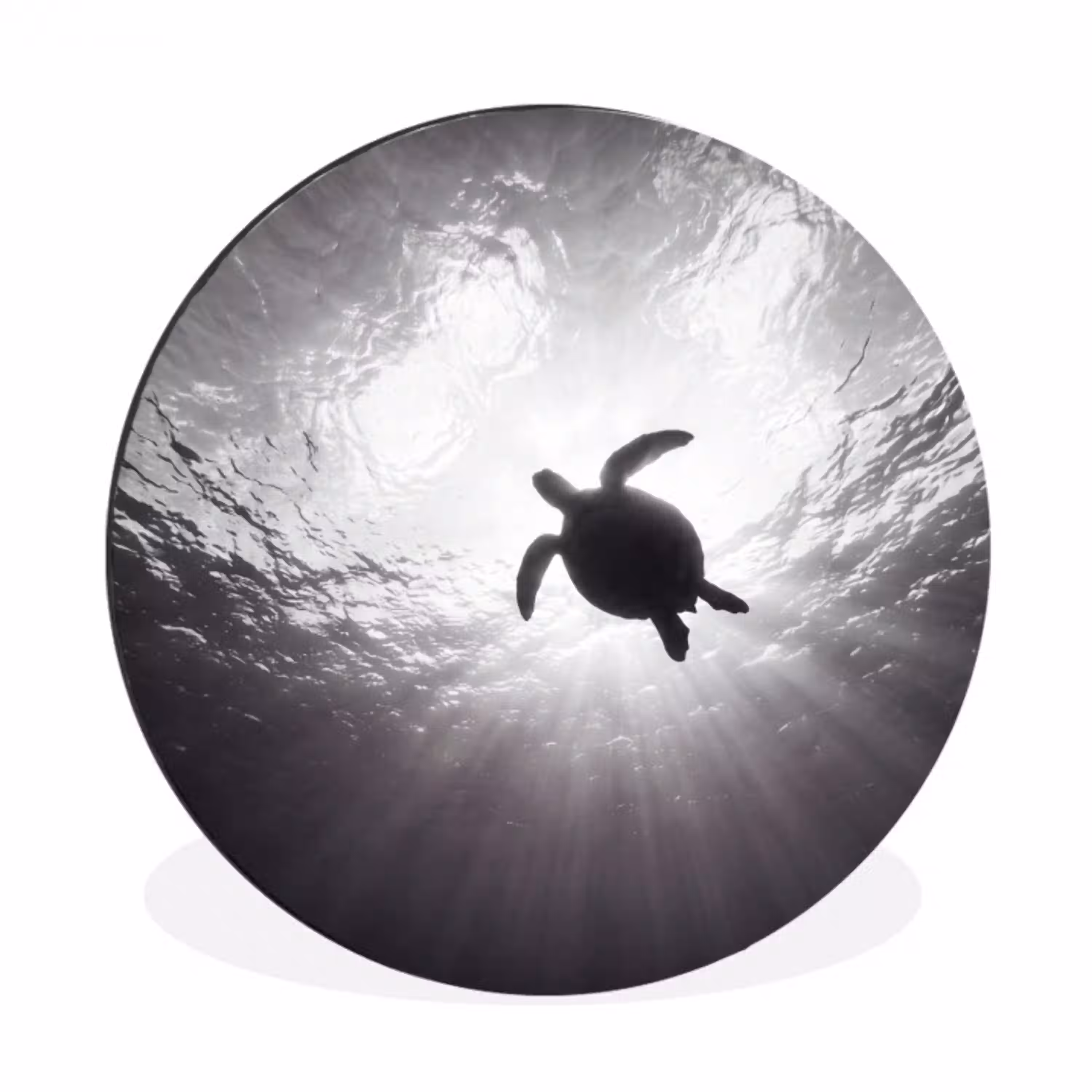 Schildpad - Onderwater - Lichtstralen - Oceaan - Zwart-wit Wandcirkel aluminium klein -3d