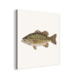 Vissen - Natuur - Vintage aluminium wit klein -3d