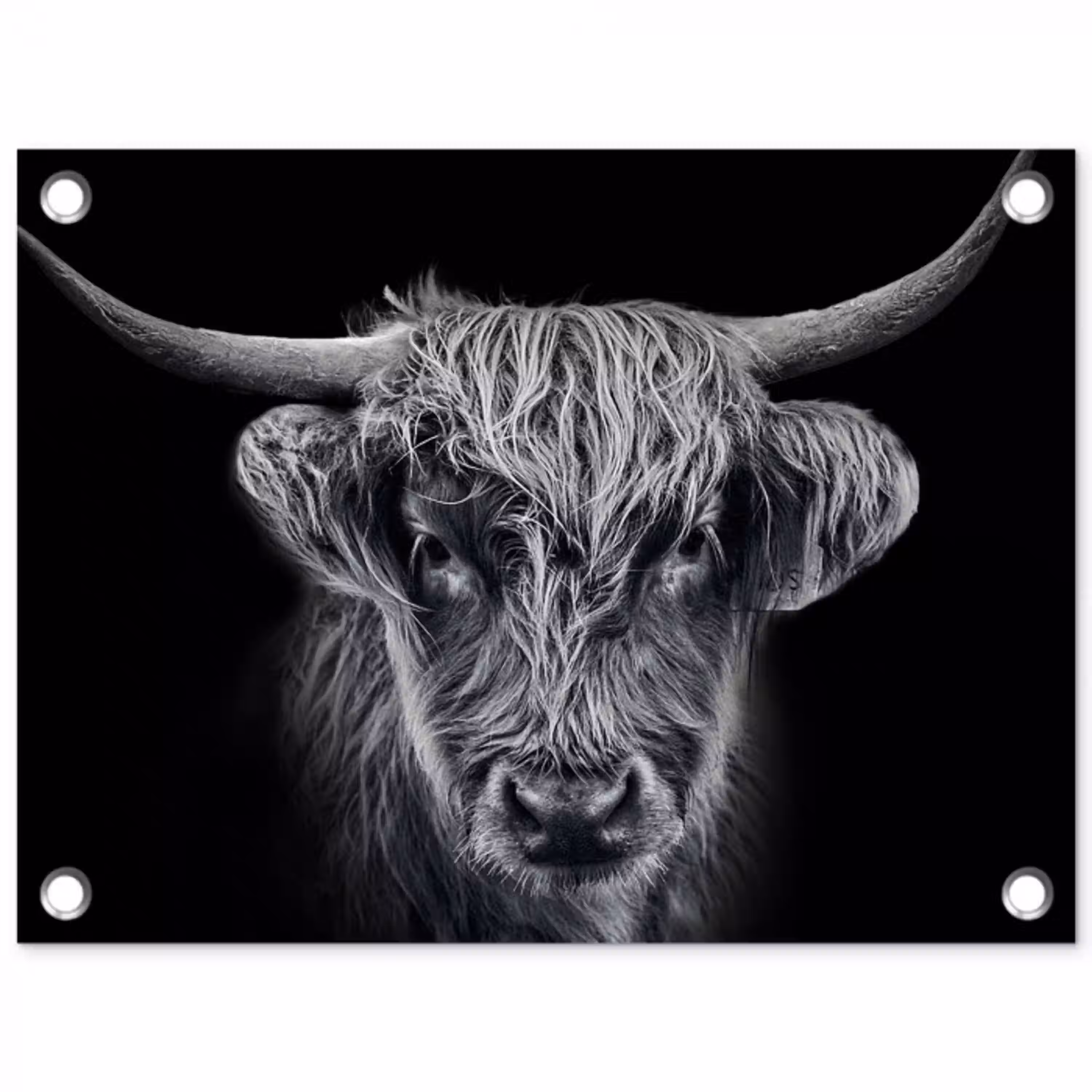 Schotse hooglander - Zwart - Koe - Dieren tuinposter los doek klein -3d