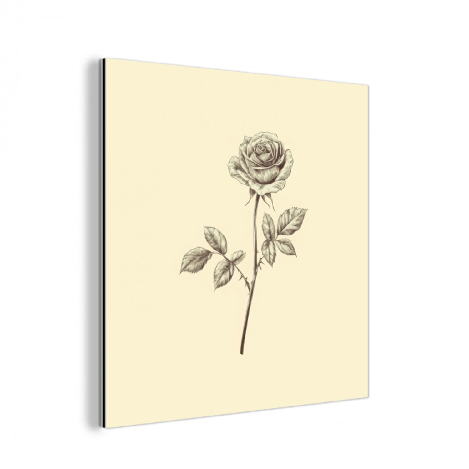Illustratie - Zwart - Roos aluminium wit klein -3d