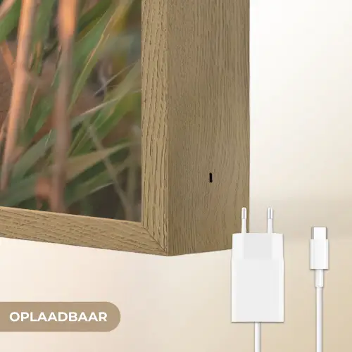 Vos - Oranje - Gras Light Box met batterij (Wandlamp) middel -USP_websiteoplaadbaarNL