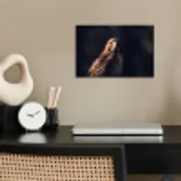 Roofvogel - Buizerd - Bruin poster papier klein -sfeer1