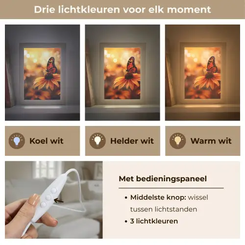 Vlinder - Bloemen - Oranje Light Box met kabel (Tafellamp) klein -USP_lichtkleurNL