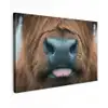Schotse hooglander - Neus - Bruin Tuinposter op houten frame 2 cm dik klein -3d