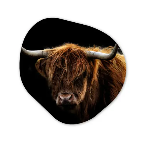 Schotse Hooglander - Horens - Zwart - Dieren - Natuur - Wild - Koe Wandcirkel Organisch Forex 3mm klein -3d