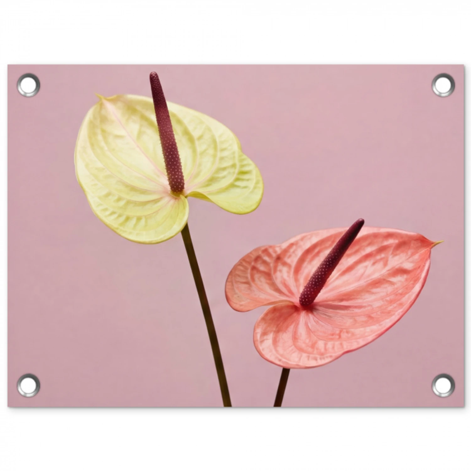 Bloemen - Anthuriums - Geel - Roze tuinposter los doek klein -3d