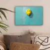 Ballon - Geel - Smiley canvas 2cm klein -sfeer1