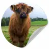 Schotse hooglander - Koeien - Natuur - Groen - Gras Wandcirkel behangsticker klein -3d