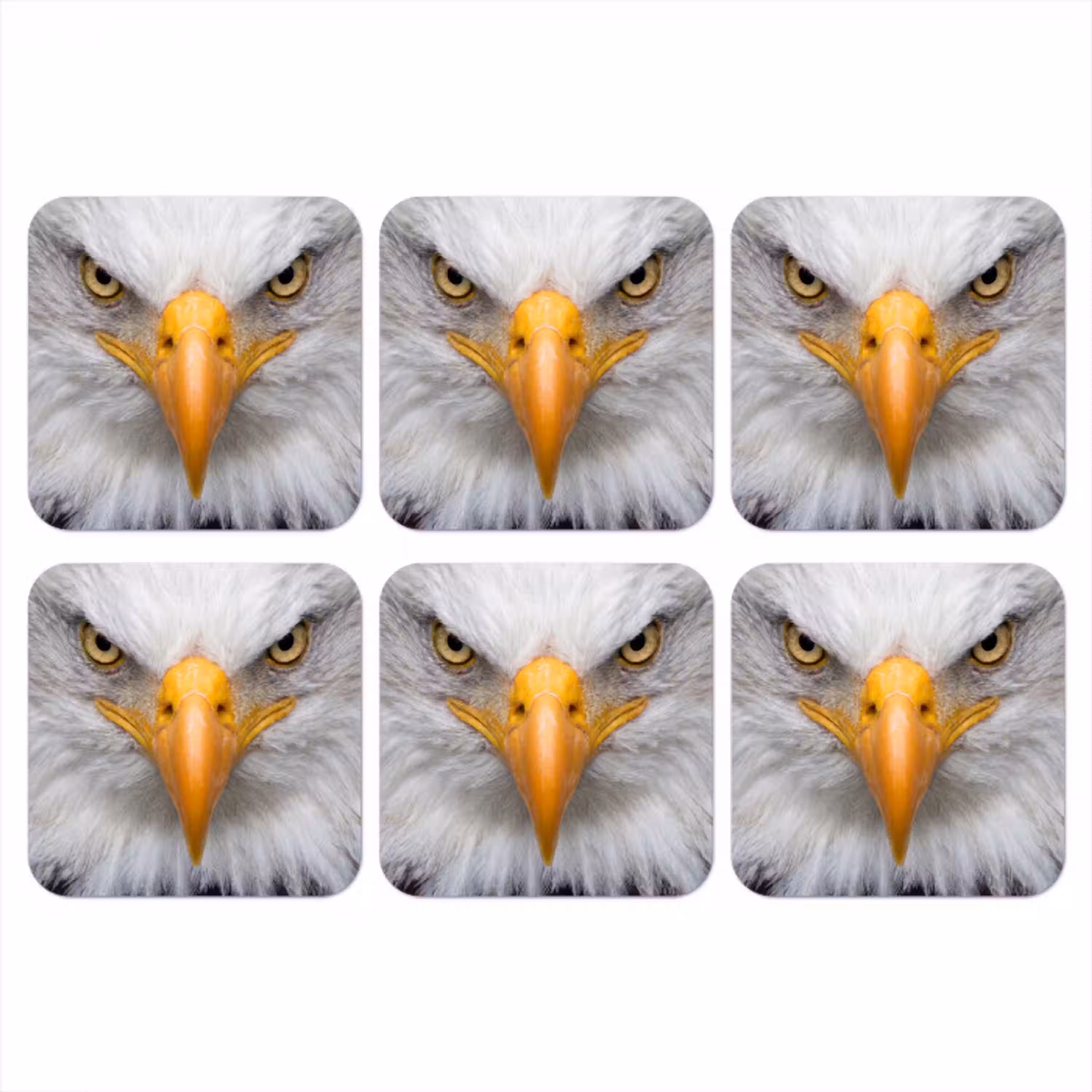 Amerikaans - Zeearend - Portret - Geel onderzetter kurk middel -3d