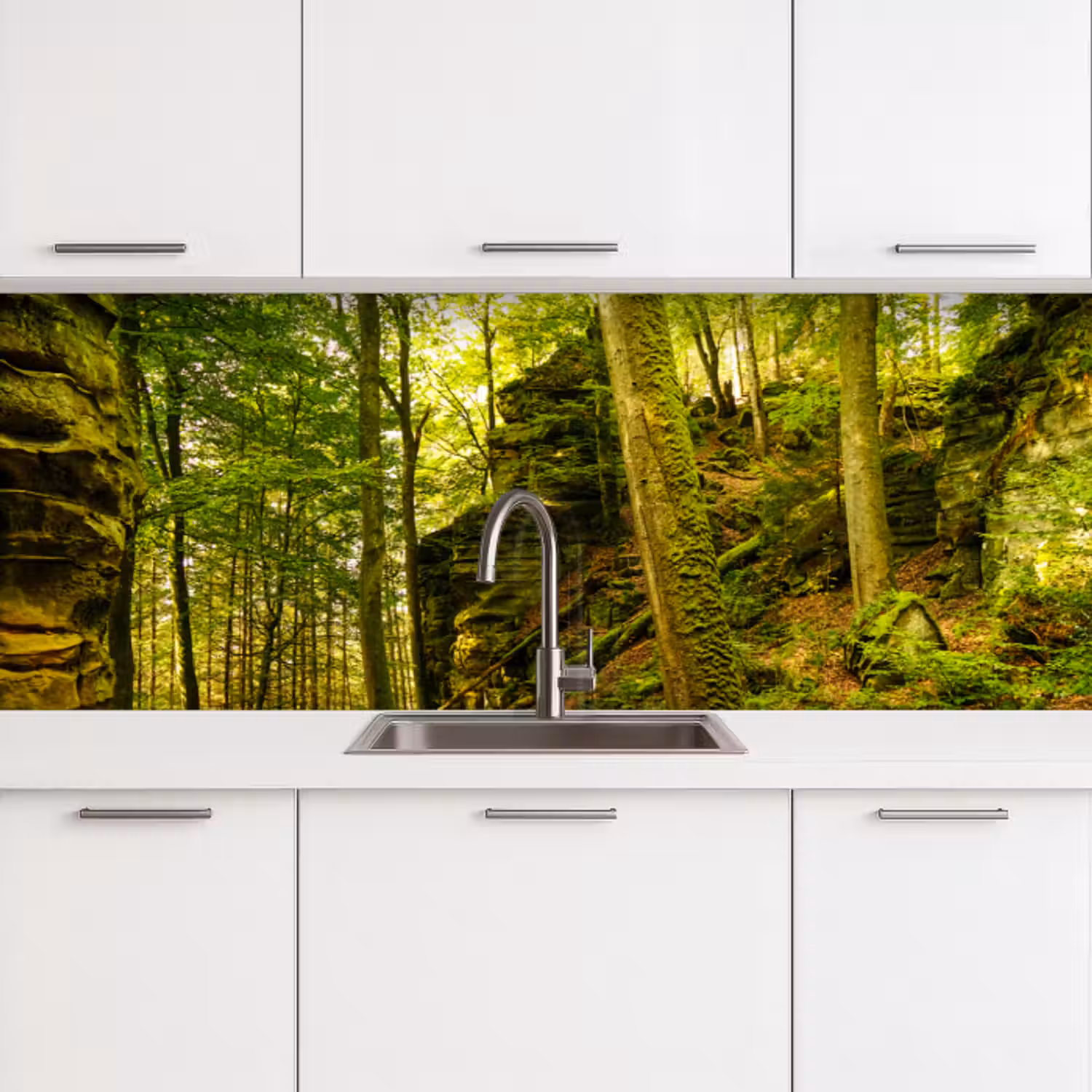 Küchenrückwand - Bäume - Stein - Wald - Natur - Pflanzen