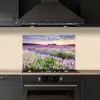 Lavendel - Bloemen - Zonsondergang - Paars - Weide keuken achterwand spatscherm klein -sfeer1