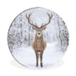 Hert - Winter - Bos - Natuur - Wit Wandcirkel aluminium klein -3d