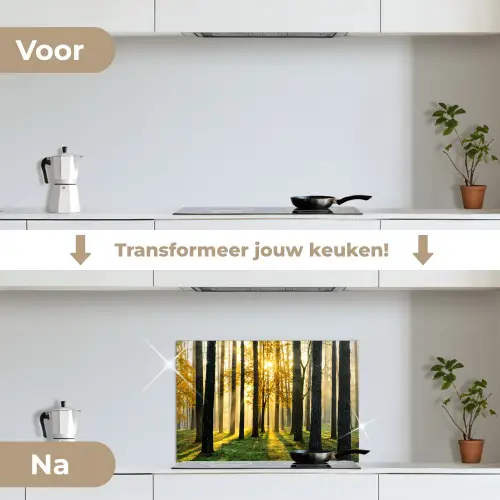 Bos - Zon - Bomen - Gras - Landschap  - Natuur keuken achterwand spatscherm klein -voor_na_NL