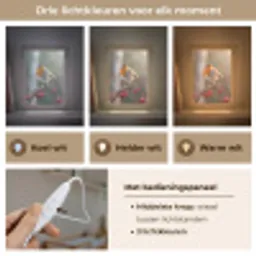 Roodborst - Tak - Bessen - Natuur Light Box met kabel (Kinderlampje) klein -USP_lichtkleurNL