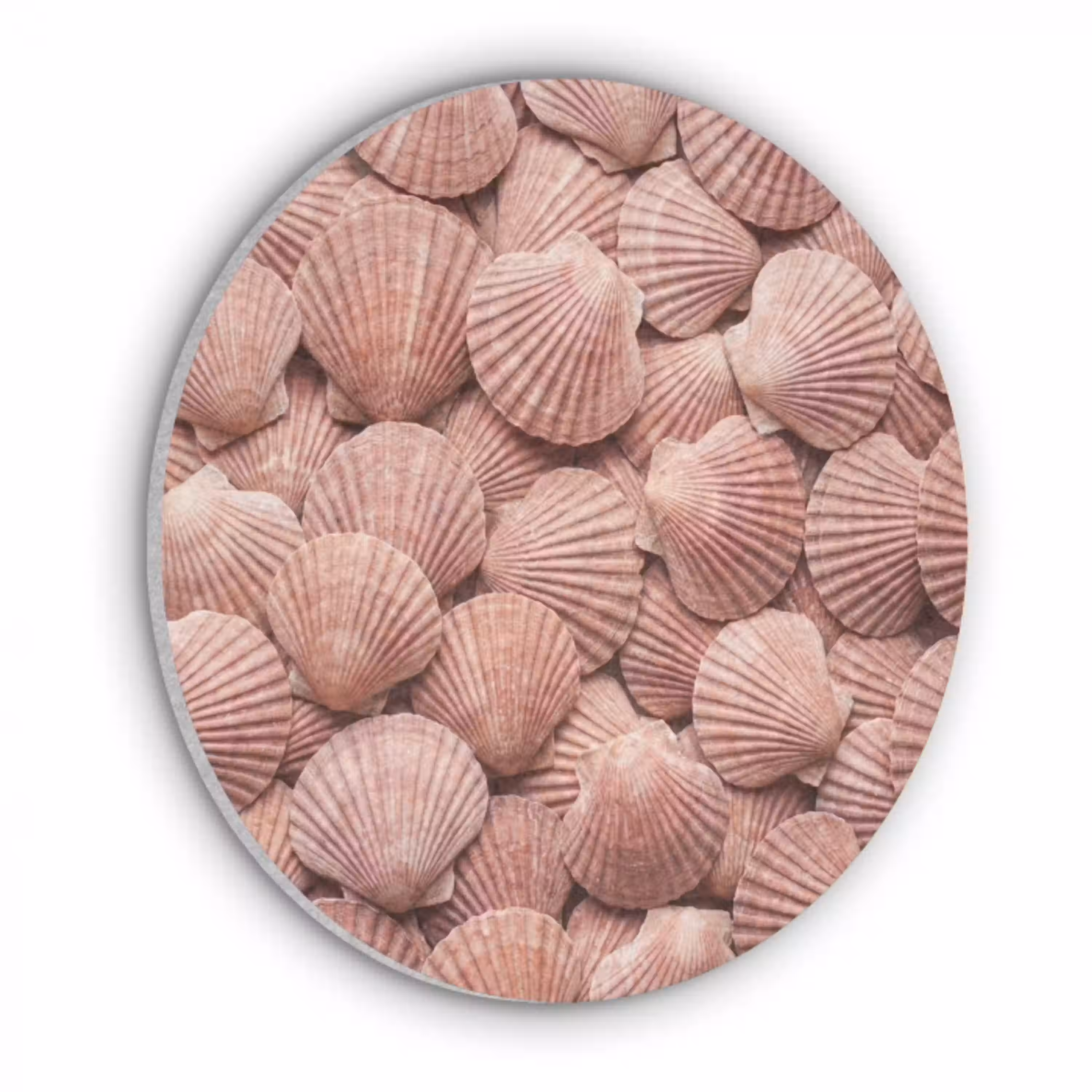 Schelpen - Patroon - Roze Akoestische PET Vilt - Rond klein -3d