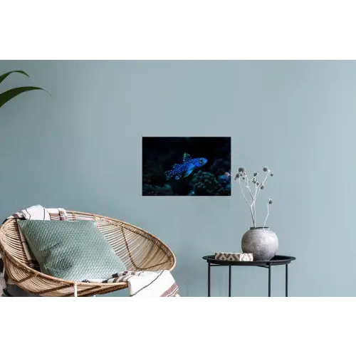 Vis - Stippen - Koraal - Blauw Muursticker klein -plant