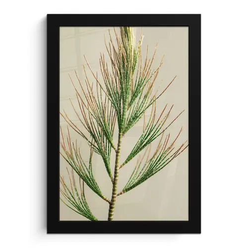 Dennentak - Naaldvormige bladeren - Lichtgroen fotolijst zwart zonder passe partout klein -3d