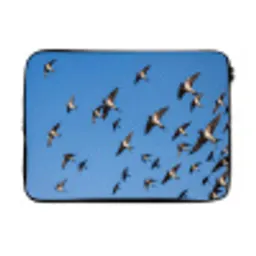 Zwaluwen - Vliegen - Blauw laptophoes neopreen klein -3d