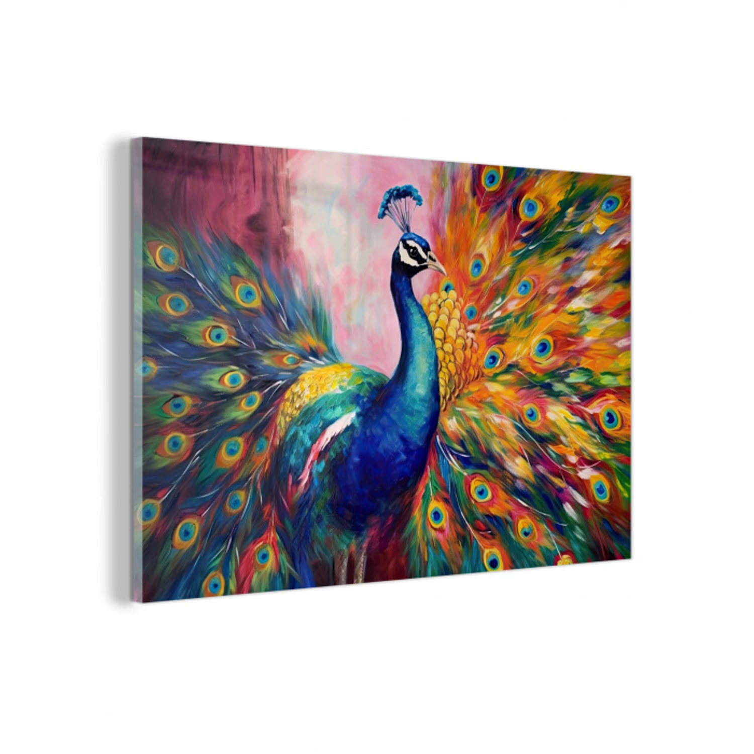 Pauw - Dieren - Schilderij - Regenboog plexiglas 5mm klein -z3d