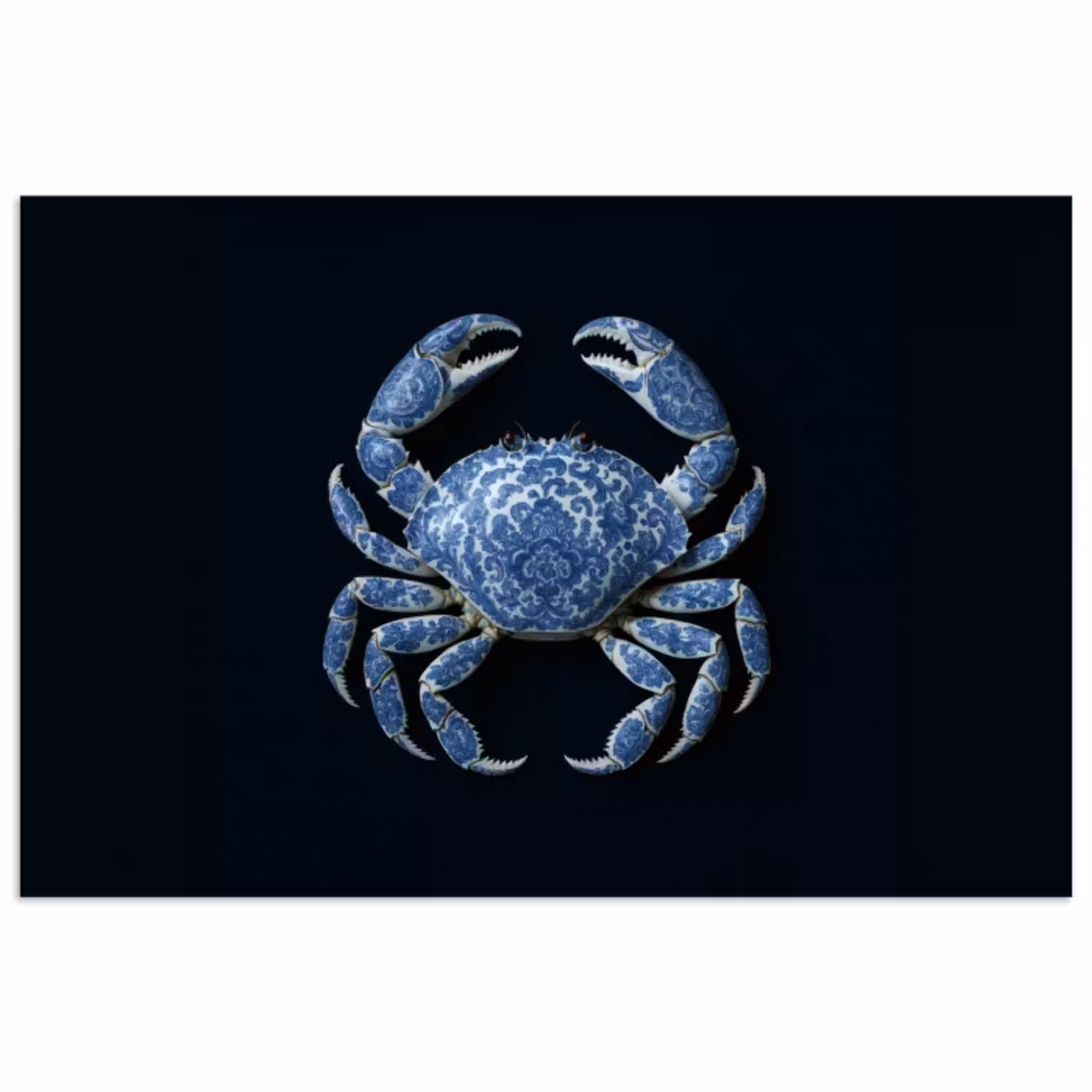 Krab - Delfts blauw - Dieren poster papier klein -3d