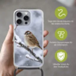 Vogel - Tak - Sneeuw - Winter Hoesje iPhone 16 Pro Max met koord klein -sfeer2_DE